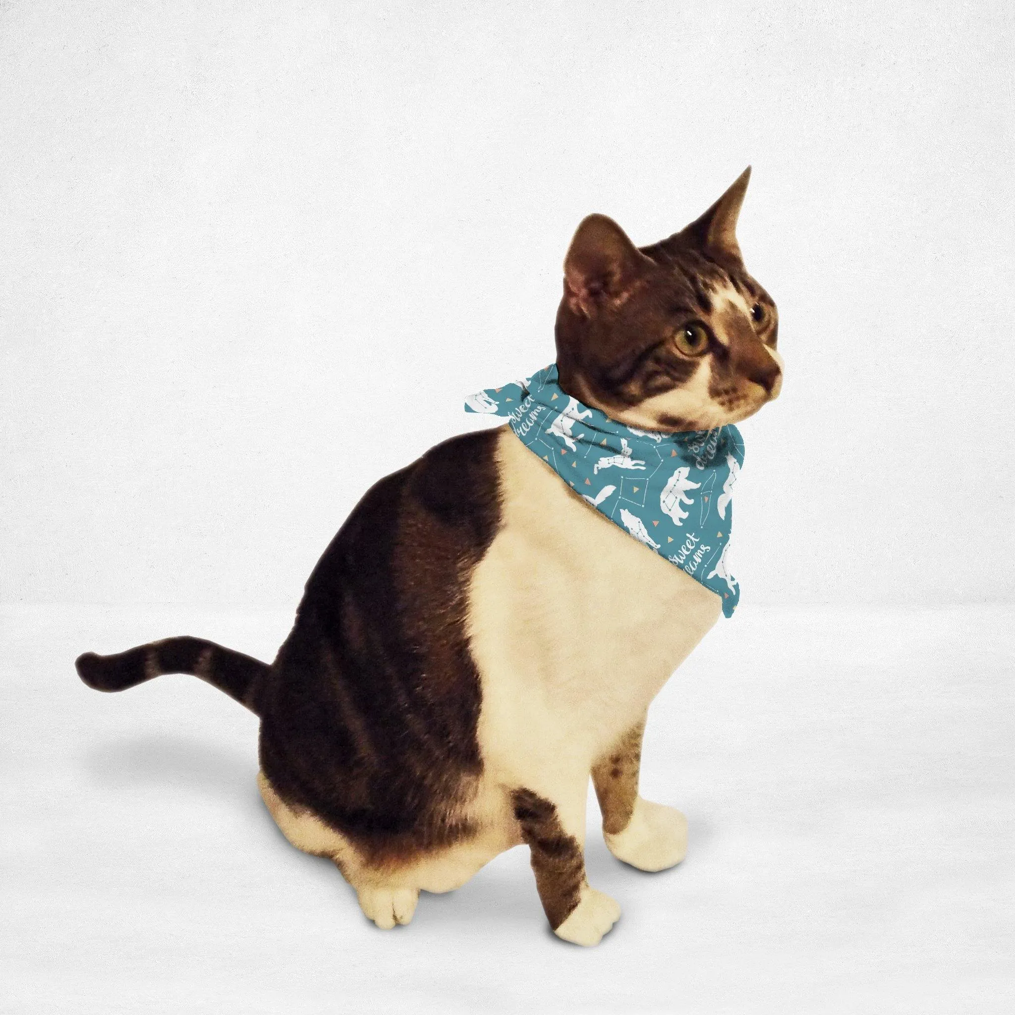 Constellations Cat & Dog Bandana