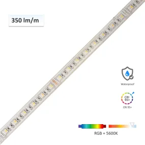 CRI-MAX CRI 95  IP67 Waterproof 4-in-1 RGBW LED Flexible Strip 5600K - 60 LEDs/m - 5m/Reel