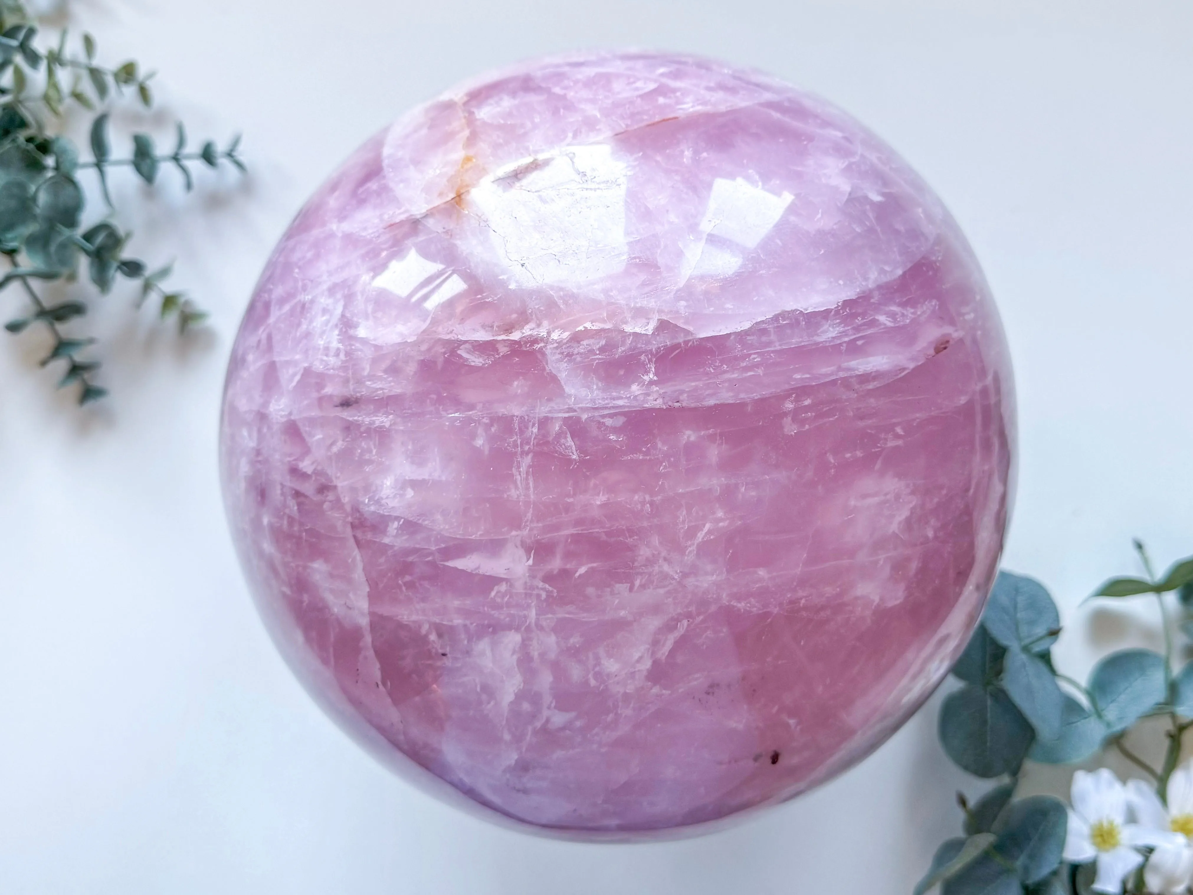 Rose Quartz XXL Sphere || Brazil