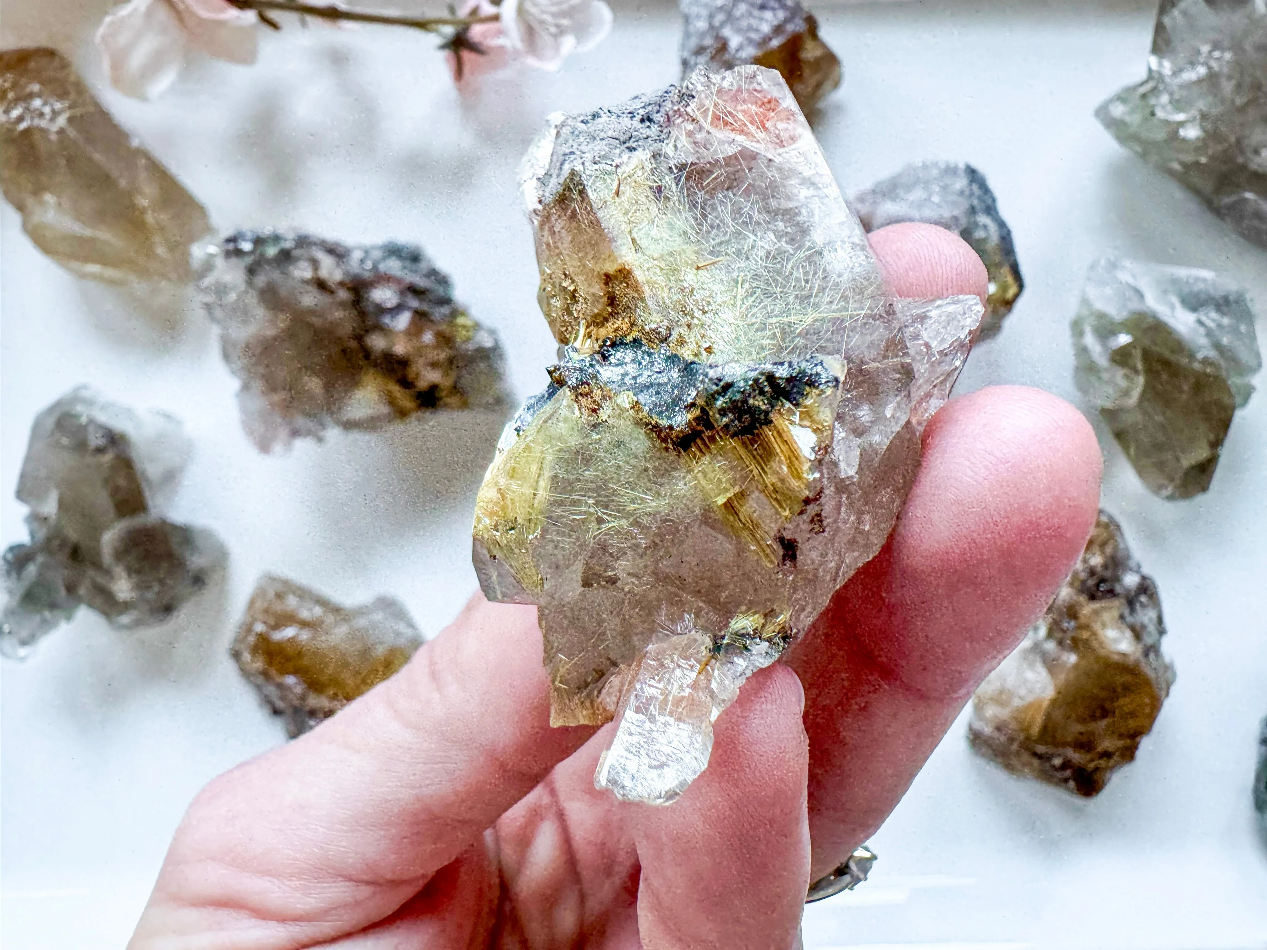 Rutile Quartz Clusters || Brazil